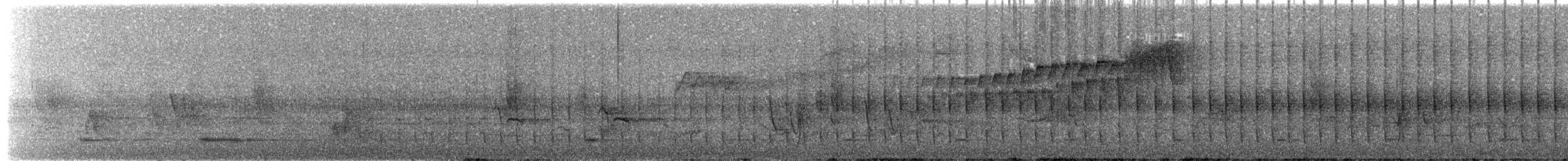 gråhodetreløper (sylviellus/olivaceus) - ML644797048