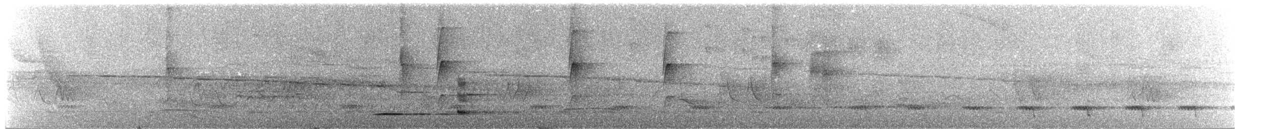 Solitary Tinamou - ML644797061