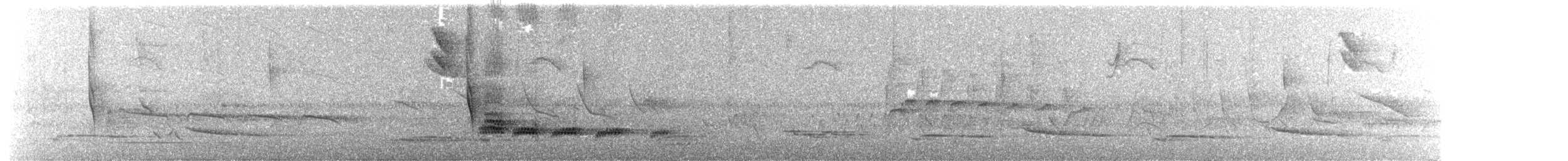 Pale-breasted Thrush - ML644797091