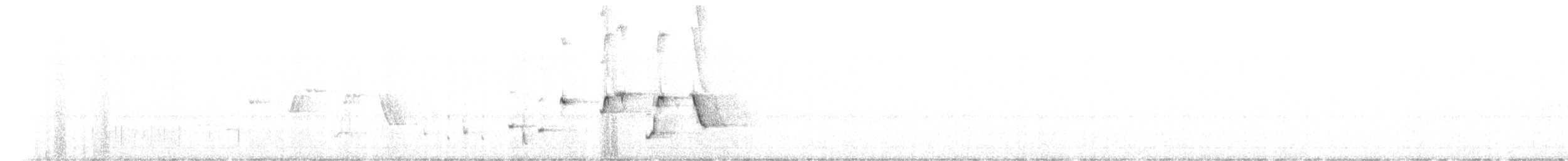 Віялохвістка чорноряба - ML644797541