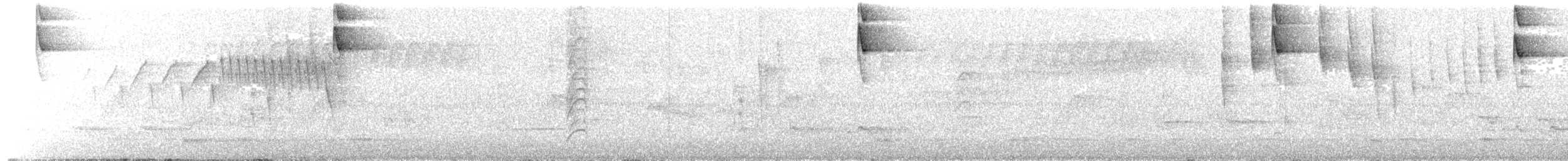 ハシブトイカル - ML644797818