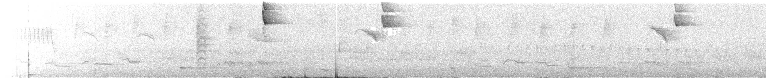 ハシブトイカル - ML644797819