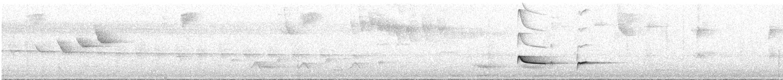 Greenish Schiffornis - ML644798007