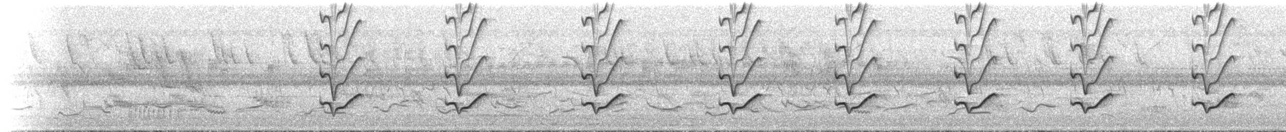 Green-backed Becard - ML644798012