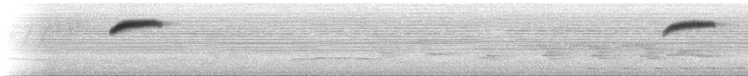 Rufous-brown Solitaire - ML644798028