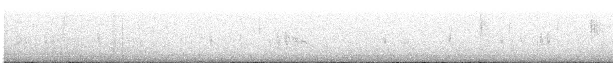 gråsisik (cabaret) (brunsisik) - ML644798601