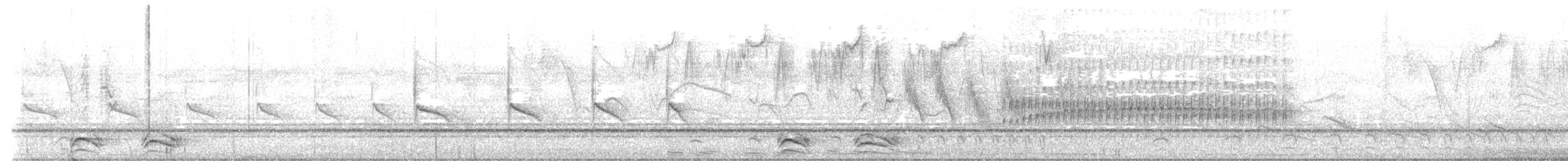 kulíšek peruánský - ML644798961