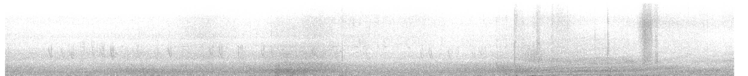 Sizerin flammé (flammea/rostrata/islandica) - ML644799749