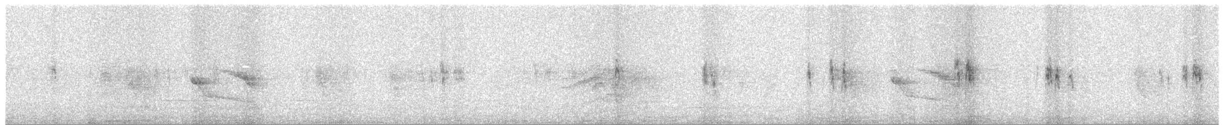 Bergeronnette grise - ML644799994