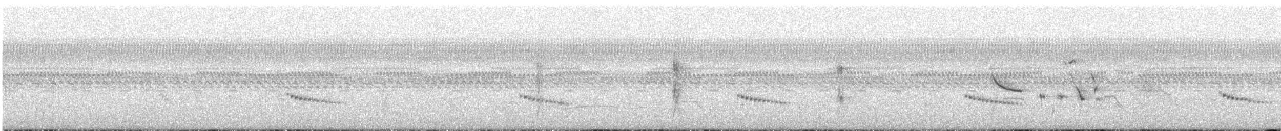 Râle brunoir - ML644800107