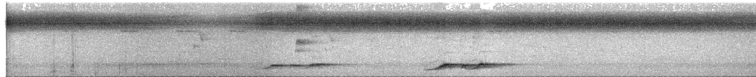 Noisy Pitta - ML644800256