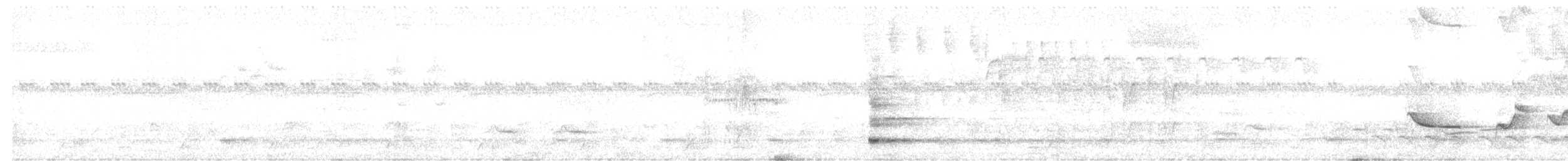 Greenish Schiffornis - ML644801359