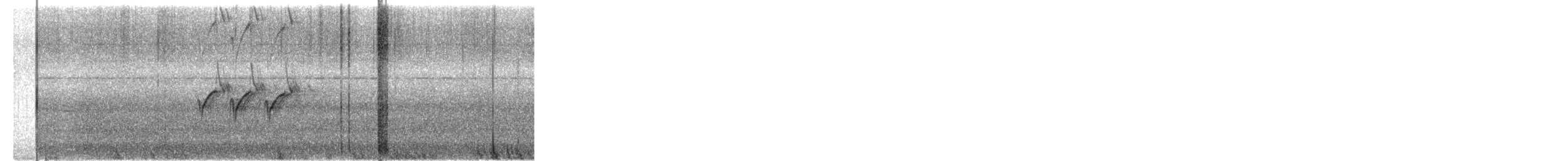 skjæreerle - ML644801461