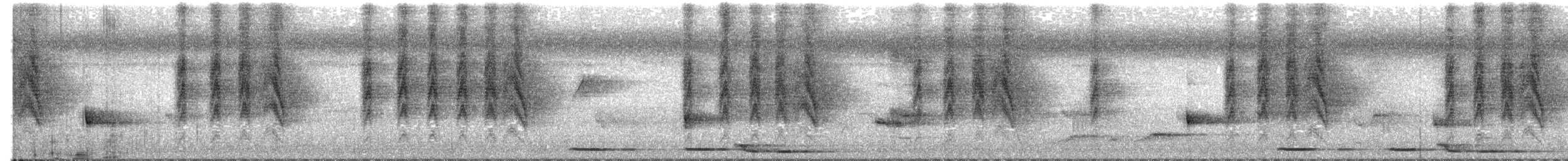 White-eared Monarch - ML644801534