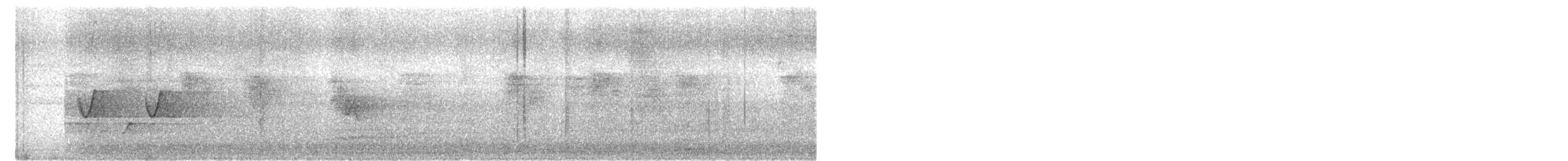 Couturière à longue queue - ML644801751