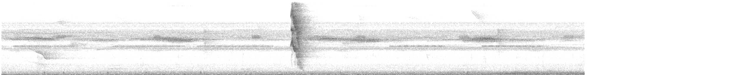 Ceara Gnateater - ML644801819