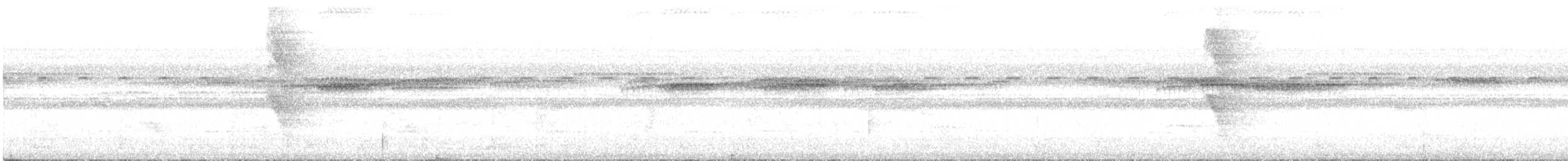 Ceara Gnateater - ML644801820