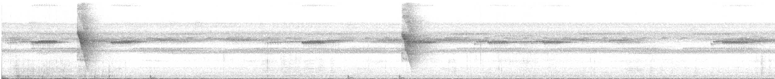 Ceara Gnateater - ML644801821