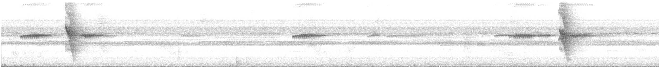 Ceara Gnateater - ML644801822