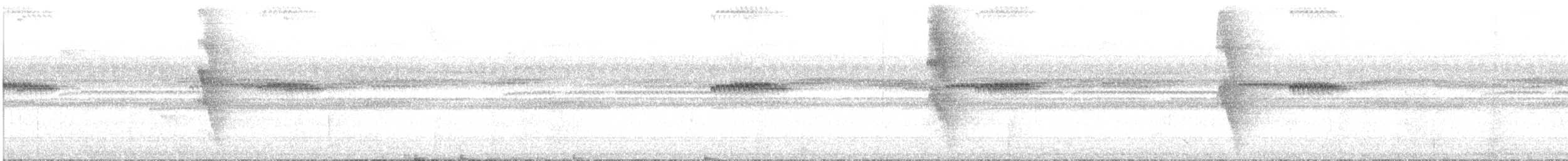 Ceara Gnateater - ML644801823