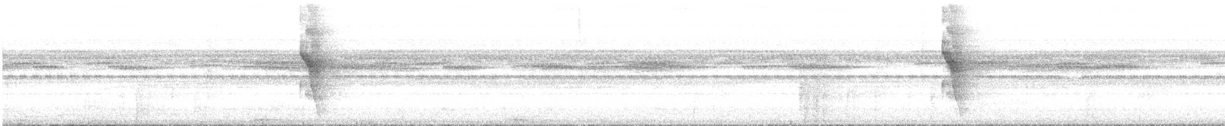 Ceara Gnateater - ML644801824