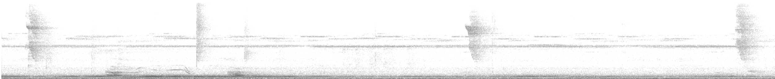 Ceara Gnateater - ML644801825