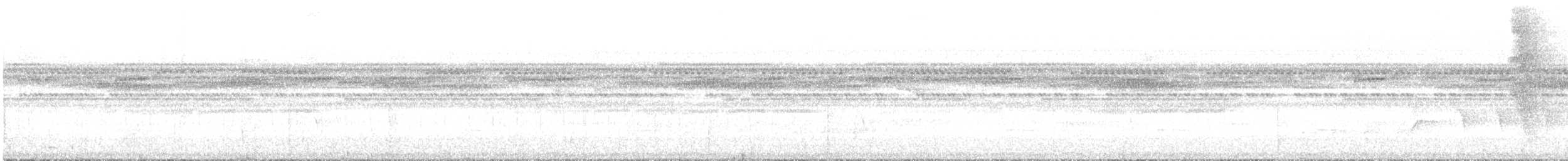 Ceara Gnateater - ML644801826