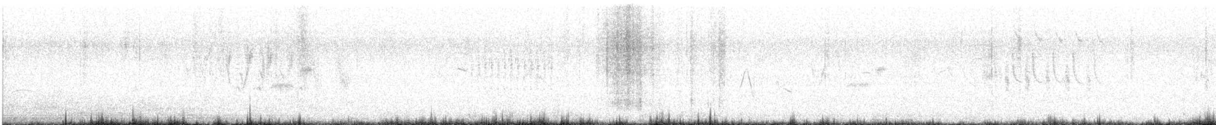 Pampazaunkönig - ML644802013