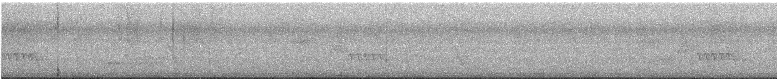 Southern House Wren - ML644802288