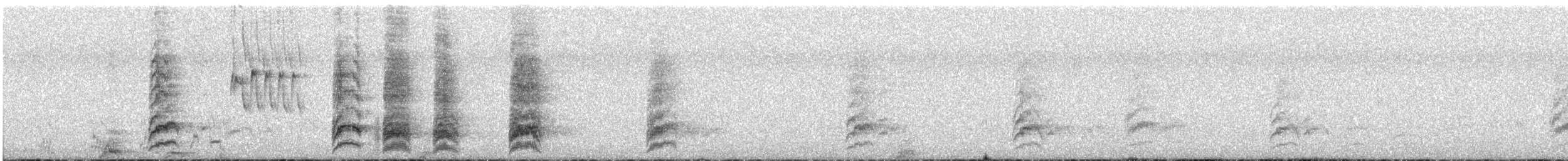 Burrowing Parakeet - ML644802515