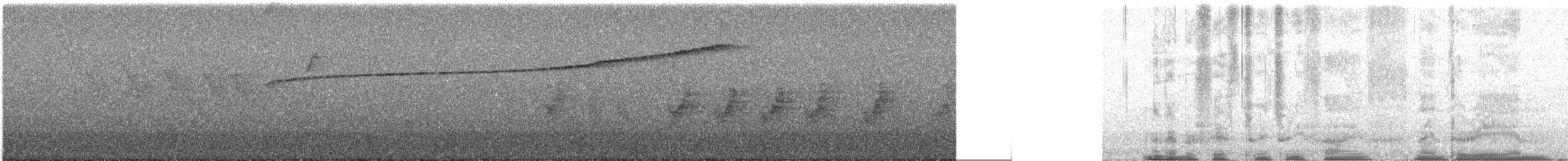 Masked Fruiteater - ML644802742