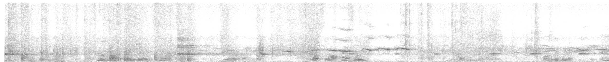 Blue-bellied Parrot - ML644802757