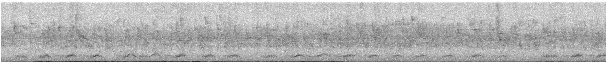 Andean Motmot - ML644802774