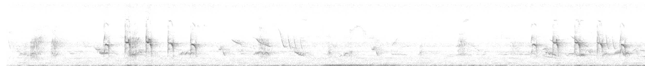 Little Thornbird - ML644802887