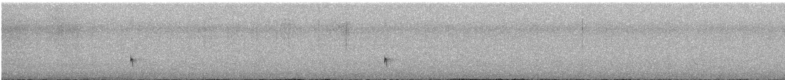 Small-billed Elaenia - ML644802971