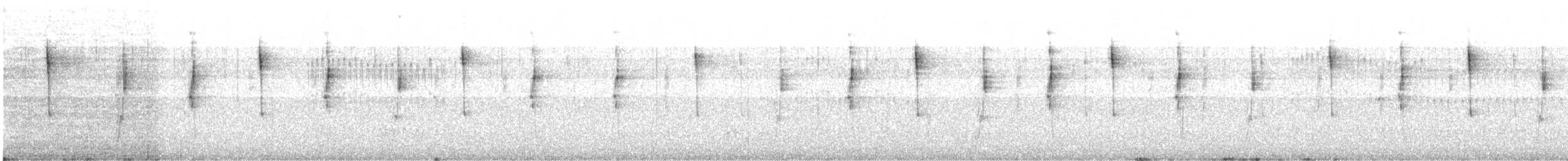 hvitgumpkolibri - ML644803447