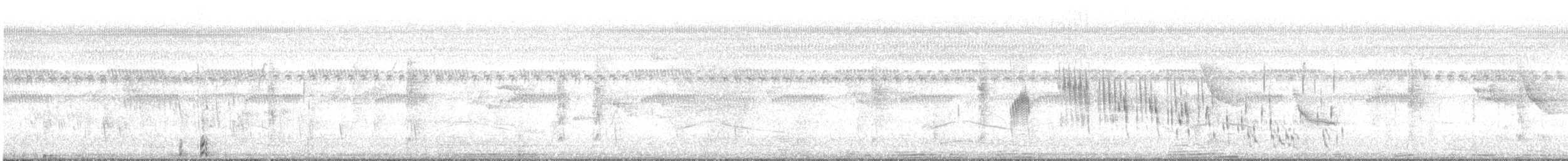 taperasvale - ML644803491