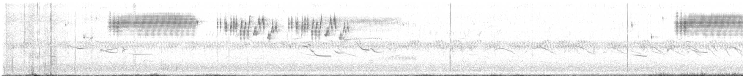 englerketrupial (magna gr.) - ML644803524