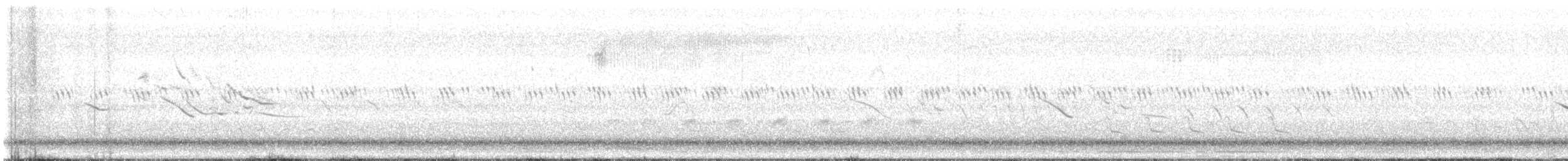 englerketrupial (magna gr.) - ML644803525