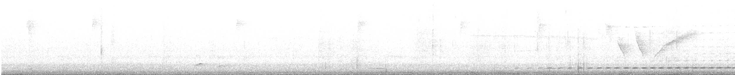 Short-tailed Antthrush - ML644803803