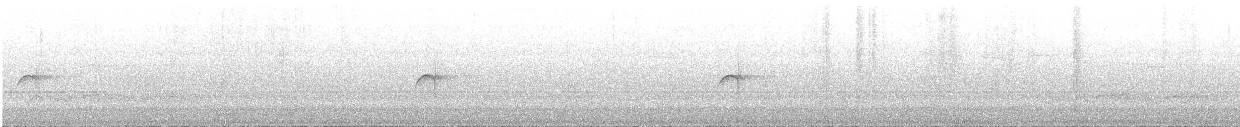 Rough-legged Tyrannulet - ML644804468