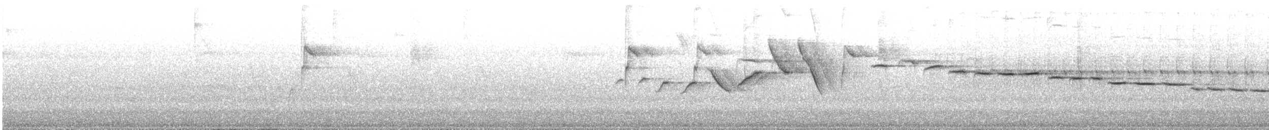 Dusky-tailed Antbird - ML644805218