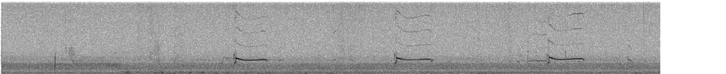 Black-bellied Plover - ML644806281