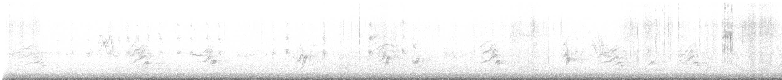 Pine Siskin - ML644806556