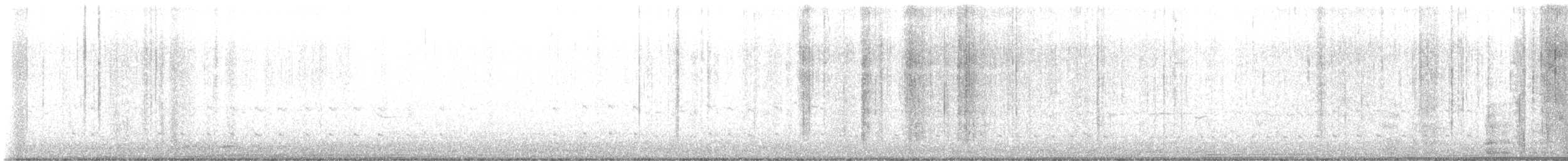 Chorlitejo Culirrojo - ML644806801