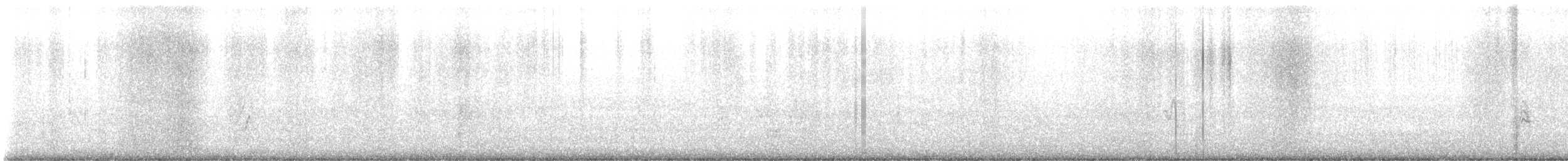 Chingolo Cantor - ML644806835