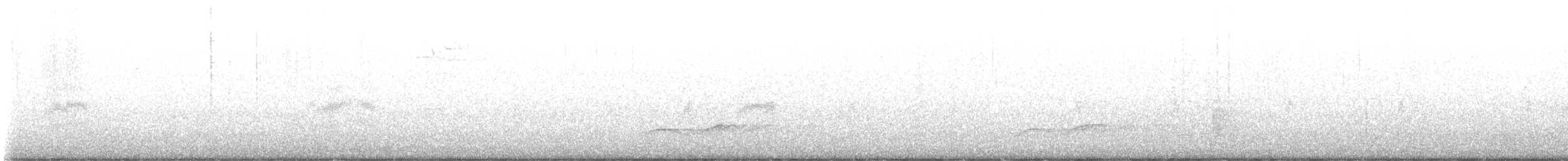 Toquí Moteado - ML644806865