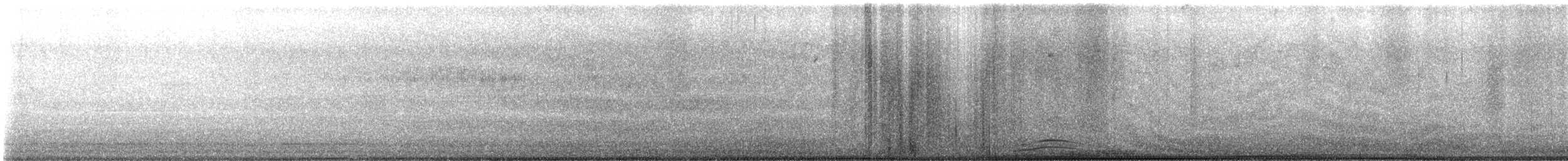 Mosquero Negro - ML644807144