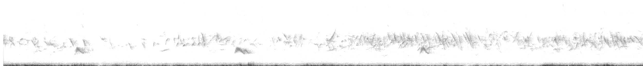 Pinzón Azul de Tenerife - ML644807214