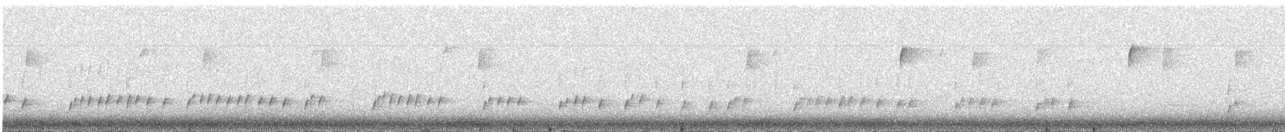 Cucarachero de Carolina - ML644807489